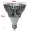 24W LED Pflanzenlampe Vollspektrum E27 SMD LEDs – Bild 4