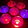 LED Pflanzenlampe 4 Band Spektrum E27 21W 7x3W Grow Light