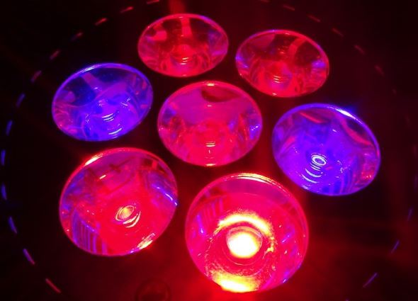 LED Pflanzenlampe 4 Band Spektrum E27 21W 7x3W Grow Light