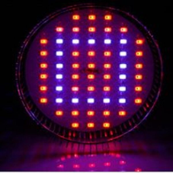 58W LED Grow Pflanzenlampe Beleuchtung Dual Spektrum Rot Blau PA38