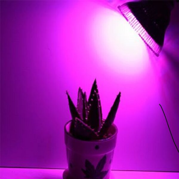 58W LED Grow Pflanzenlampe Beleuchtung Dual Spektrum Rot Blau PA38