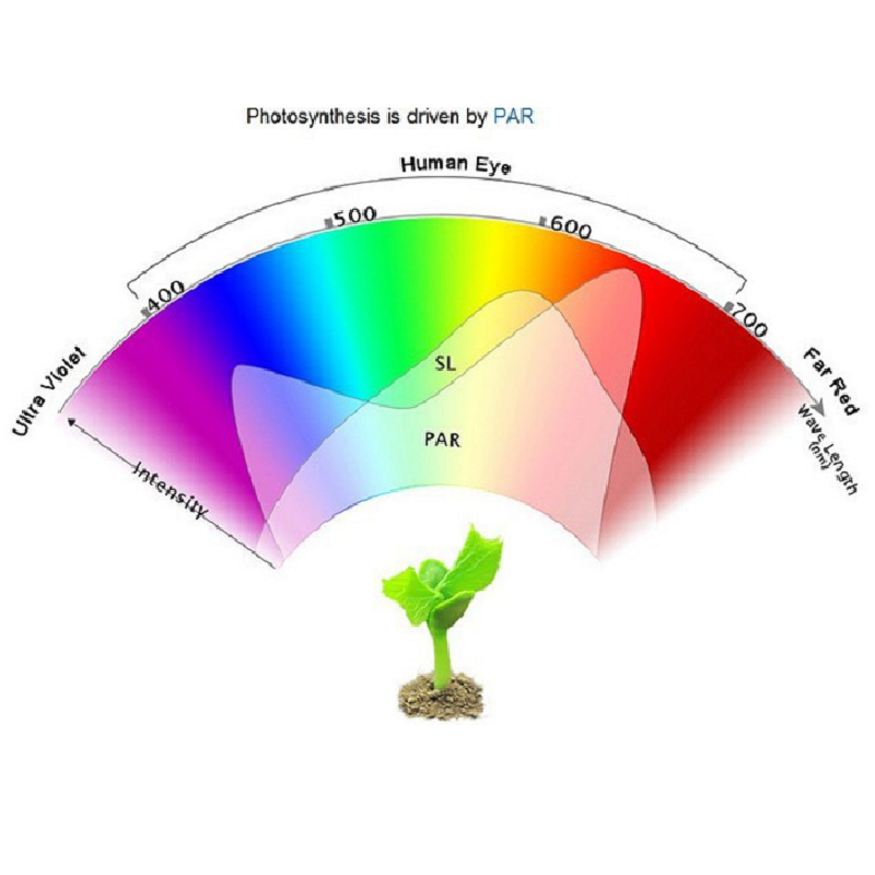 3W Grow Full Spectrum Led Emitter Chip 380-840nm 700mA 5 3W Grow Full Spectrum Led Emitter Chip 380-840nm 700mA