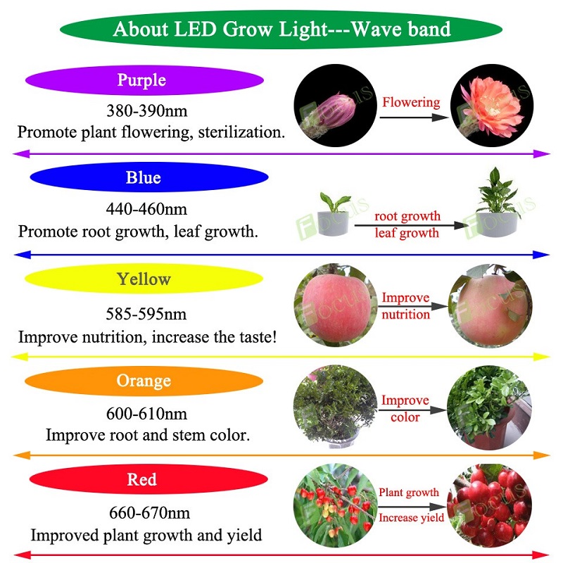 3W Grow Full Spectrum Led Emitter Chip 380-840nm 700mA 10 3W Grow Full Spectrum Led Emitter Chip 380-840nm 700mA